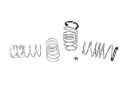Whiteline - Whiteline WSK-FT001 Front/Rear Coil Spring Lowering Kit for 09-19 Fiat 500 - Image 1